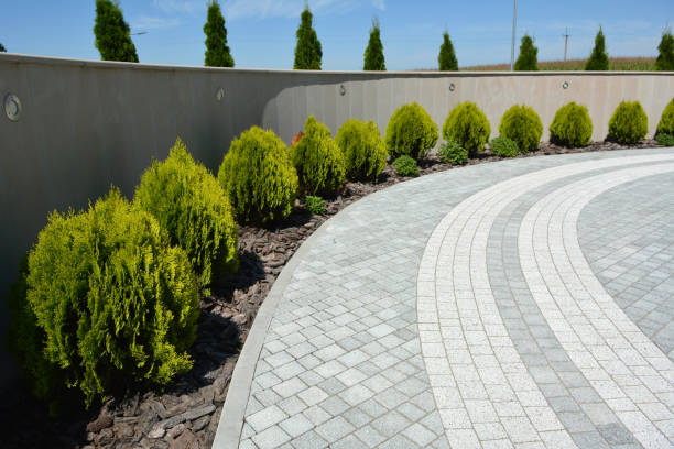 Best Driveway Pavers Near Me  in Canton, NC